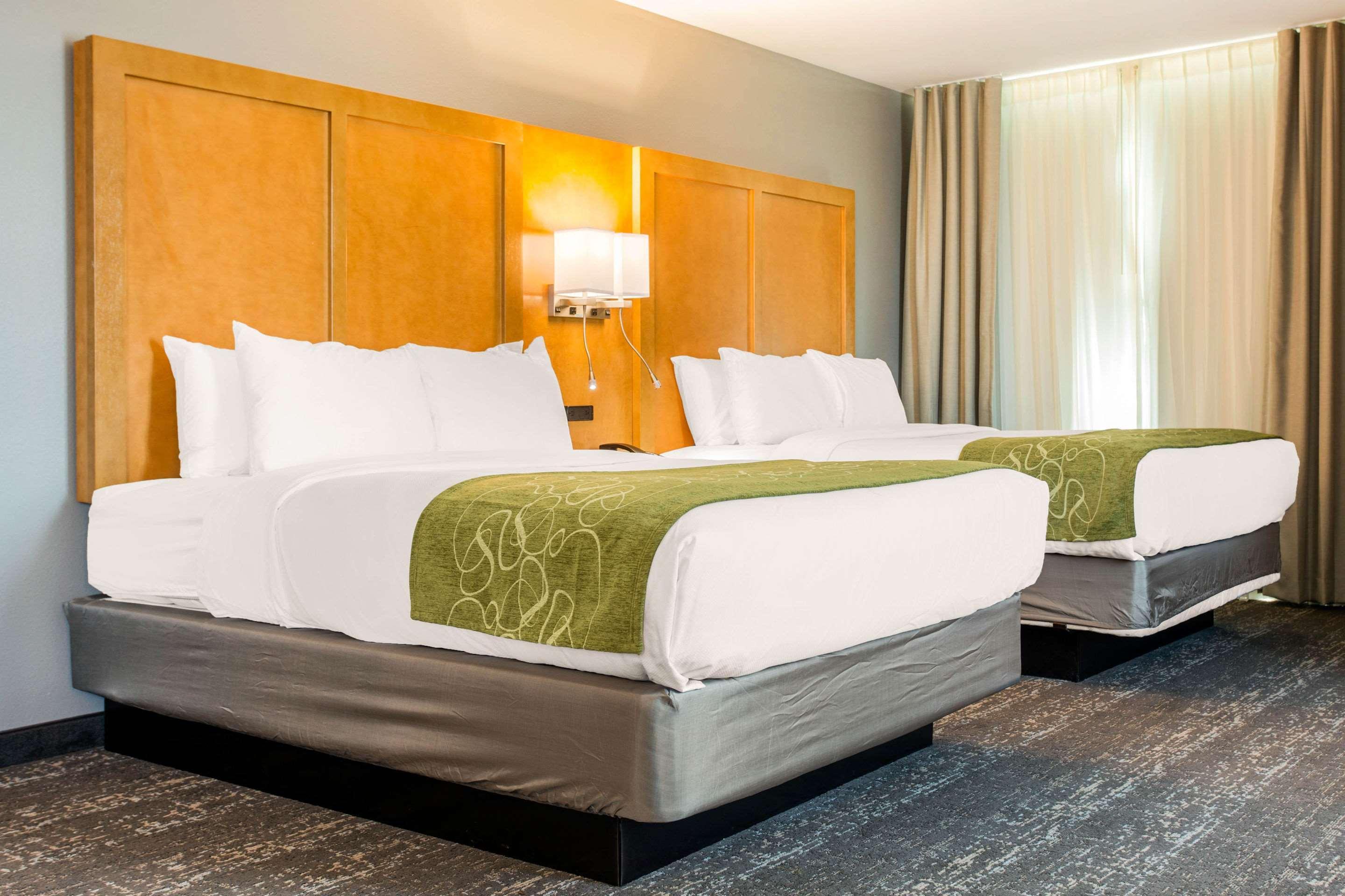 Comfort Suites North Charleston - Ashley Phosphate Buitenkant foto