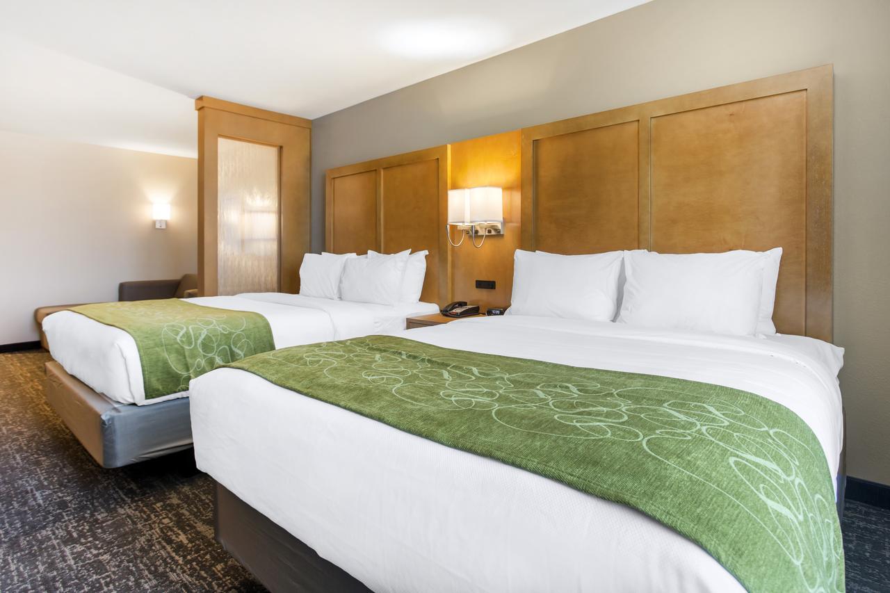Comfort Suites North Charleston - Ashley Phosphate Buitenkant foto